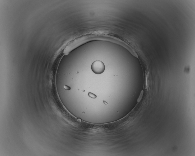 X0000111830300200907301326