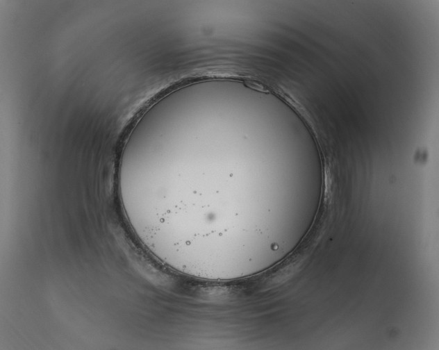 X0000111830301200907301326
