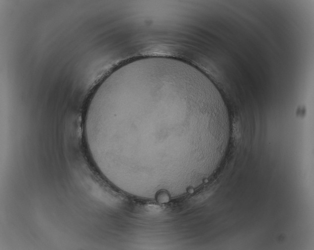 X0000111830302200907301326