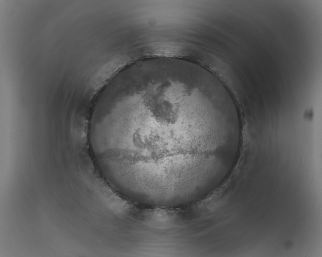X0000111830305200907301326