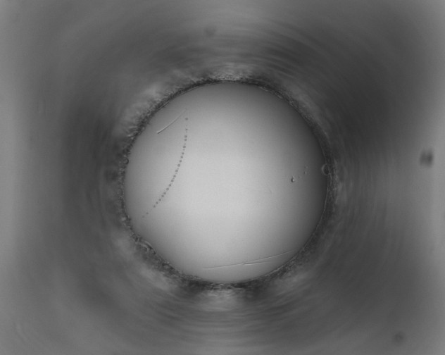 X0000111830307200907301326