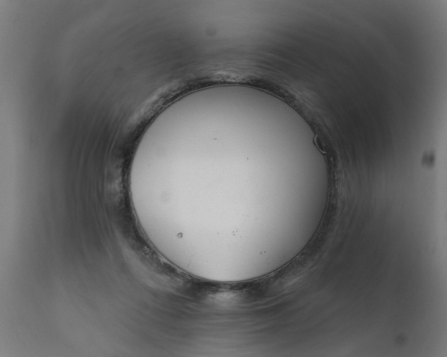 X0000111830312200907301326