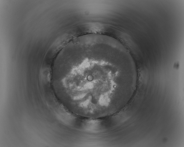 X0000111830313200907301326