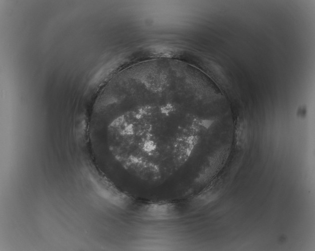 X0000111830314200907301326