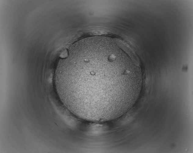 X0000111830315200907301326