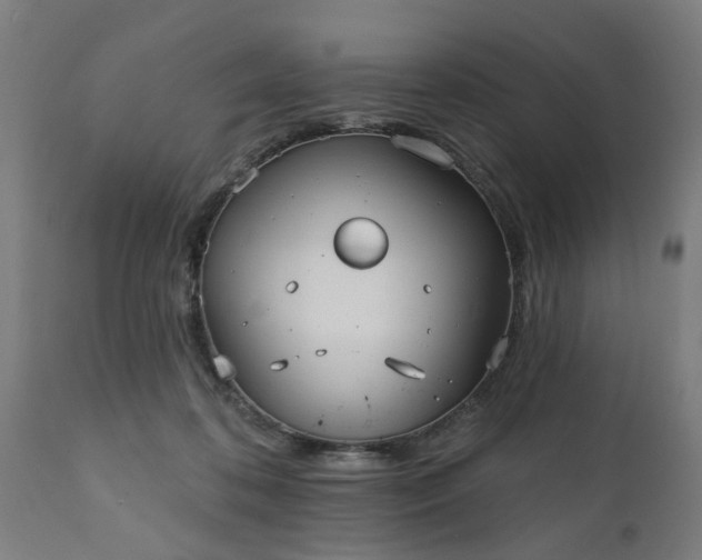 X0000111830316200907301326