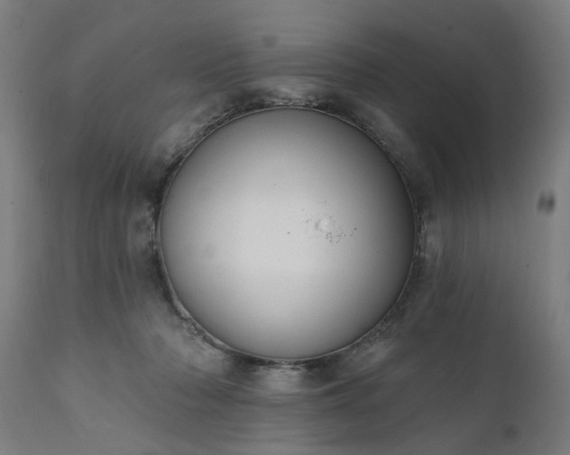 X0000111830318200907301326