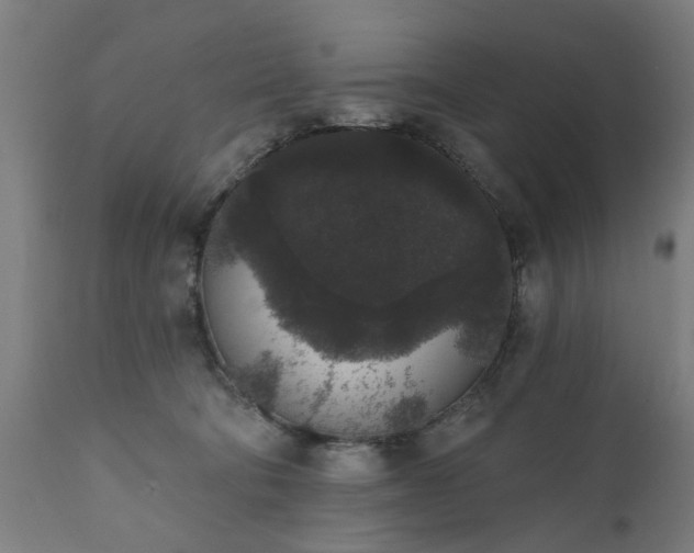 X0000111830322200907301326