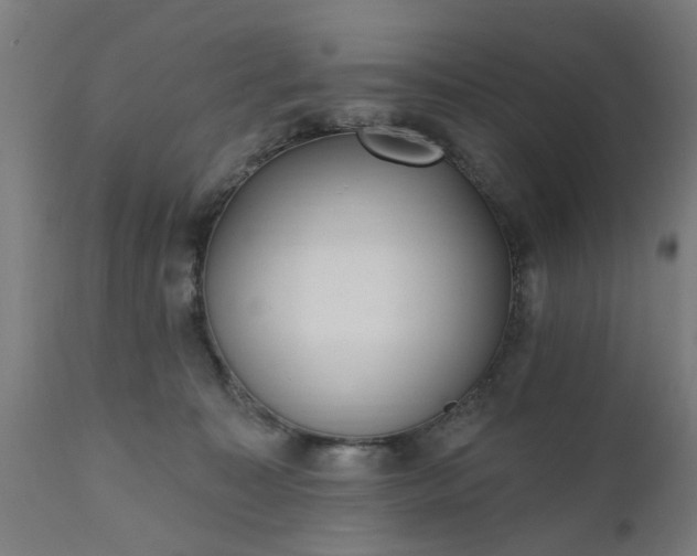 X0000111830323200907301326