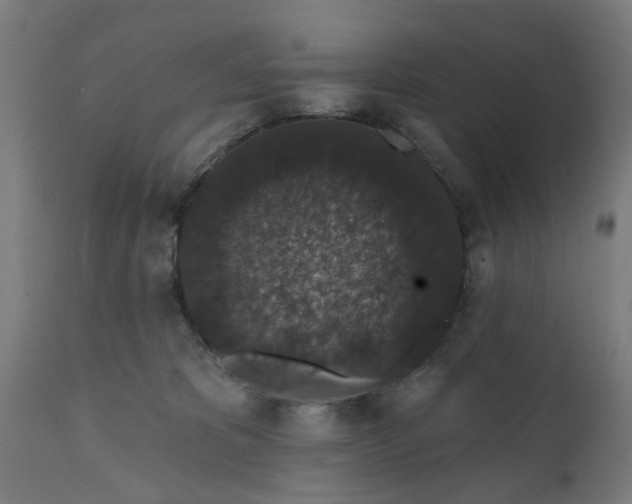 X0000111830325200907301326