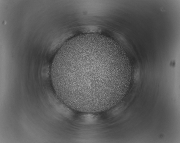 X0000111830326200907301326