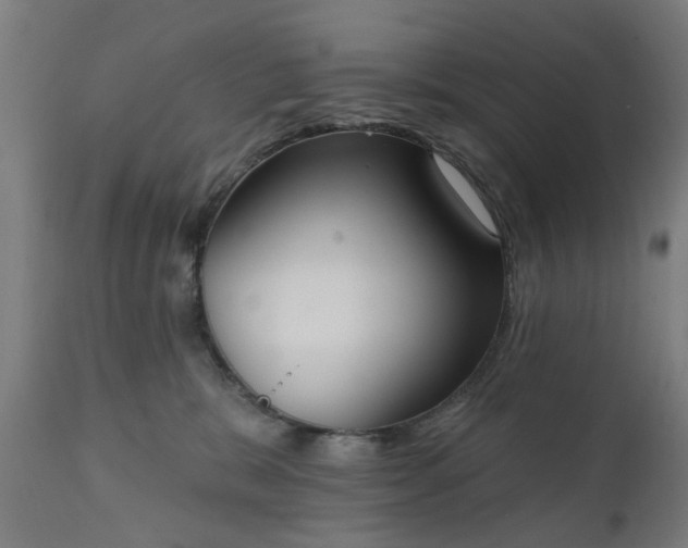 X0000111830327200907301326