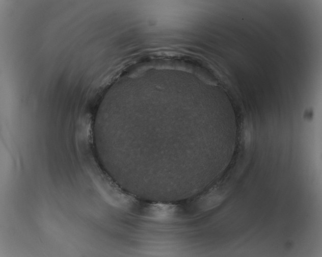 X0000111830328200907301326