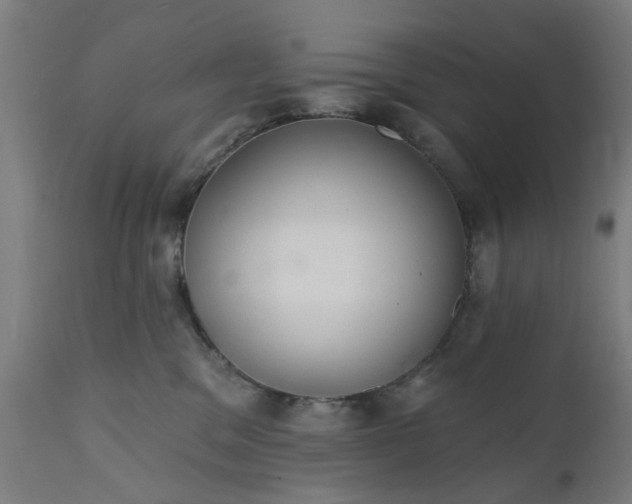 X0000111830329200907301326