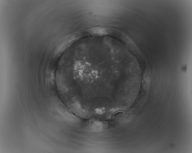 X0000111830330200907301326