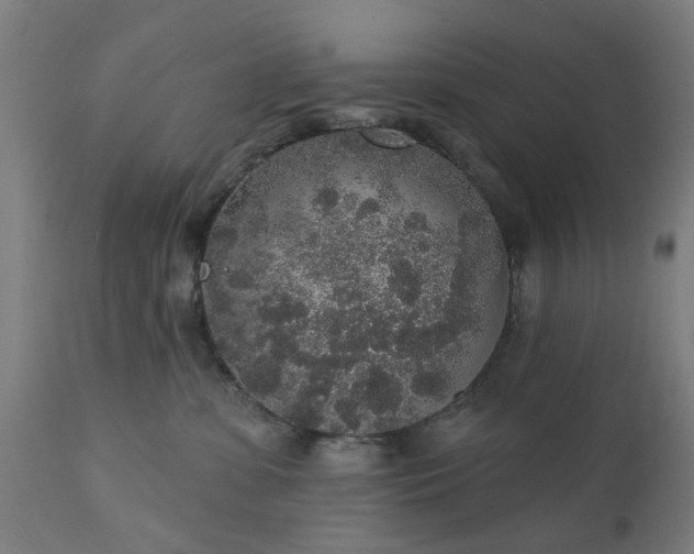 X0000111830331200907301326