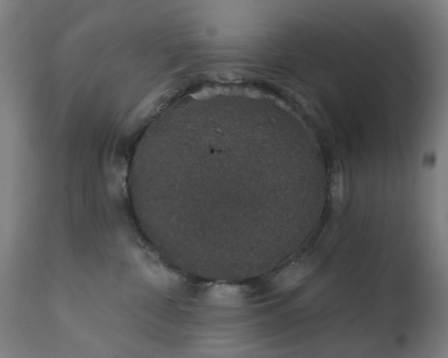 X0000111830332200907301326