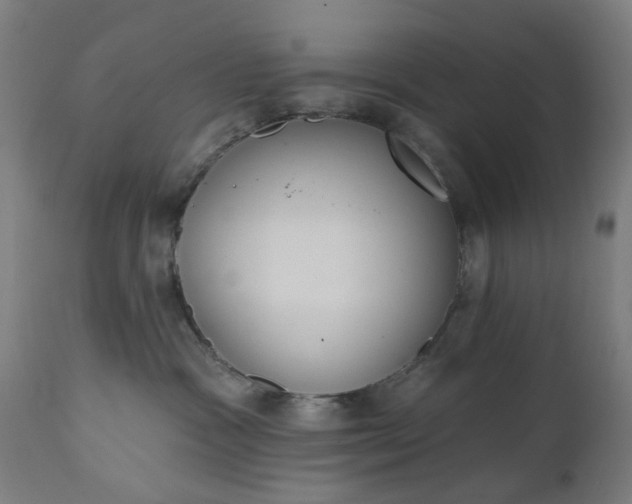 X0000111830333200907301326