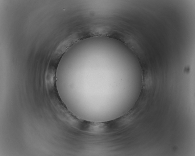 X0000111830334200907301326