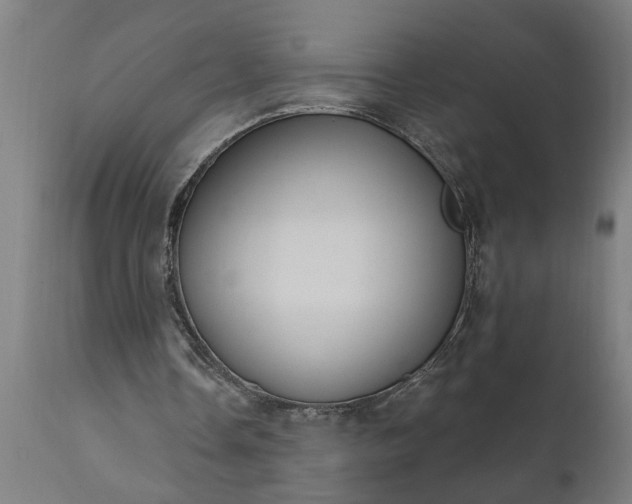 X0000111830338200907301325