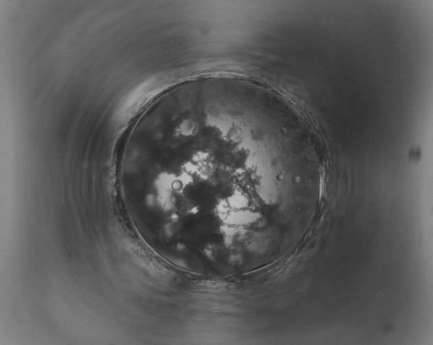 X0000111830339200907301325