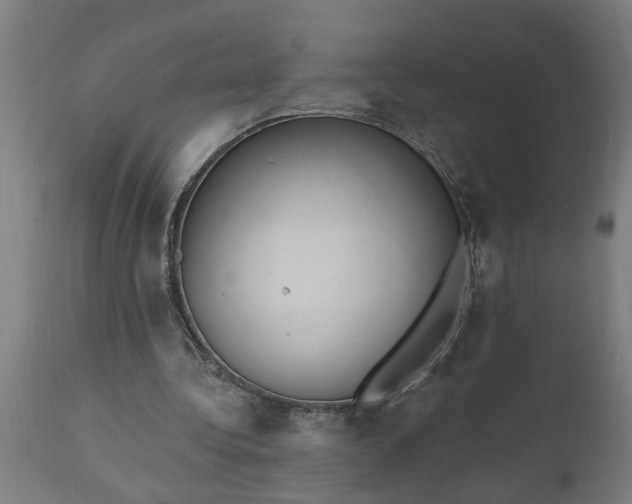 X0000111830340200907301325