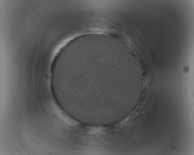 X0000111830342200907301325