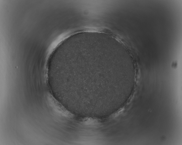 X0000111830343200907301325