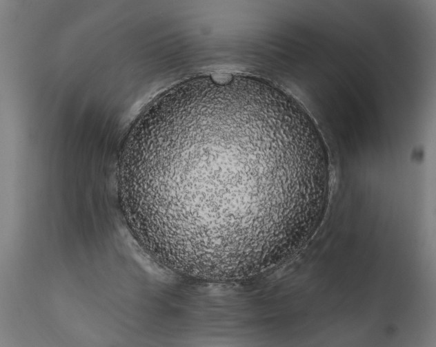 X0000111830345200907301325