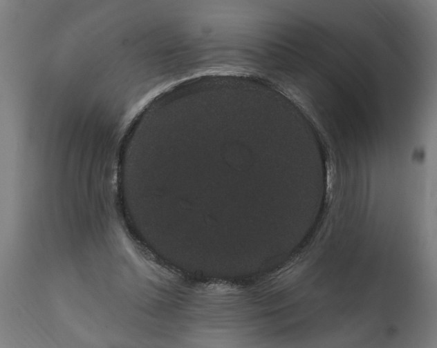 X0000111830348200907301325