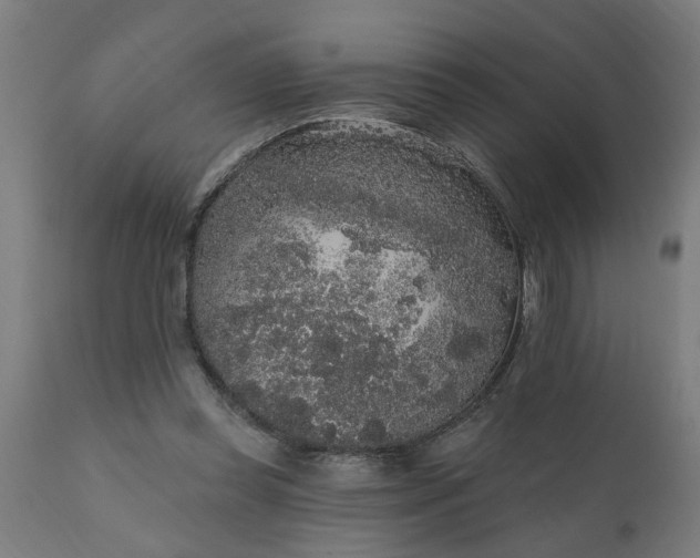 X0000111830349200907301325