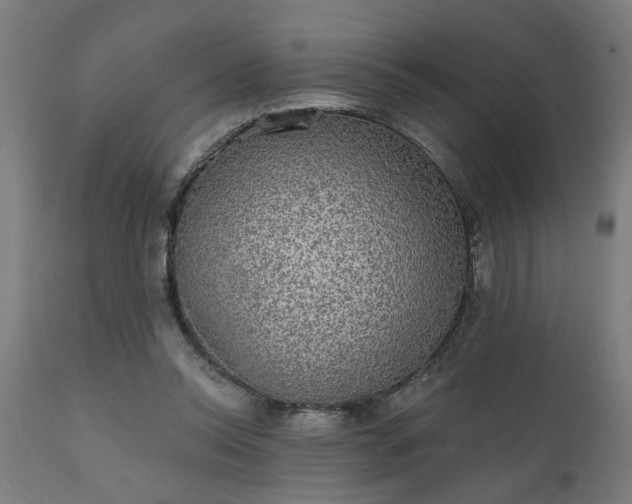 X0000111830350200907301325