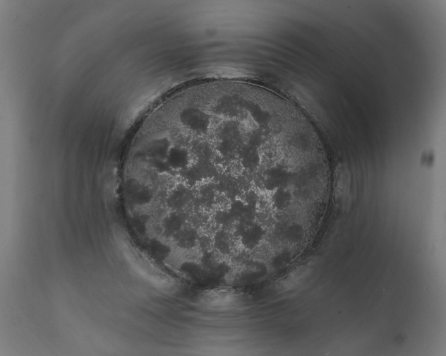 X0000111830351200907301325