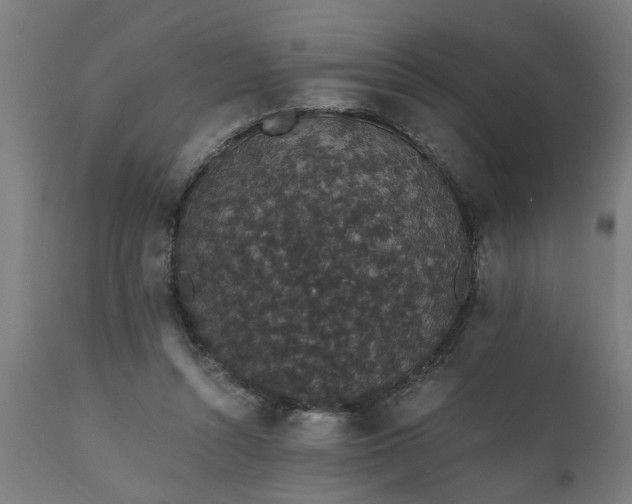 X0000111830352200907301325