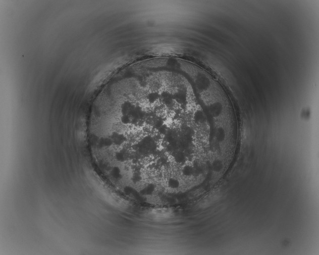 X0000111830353200907301325