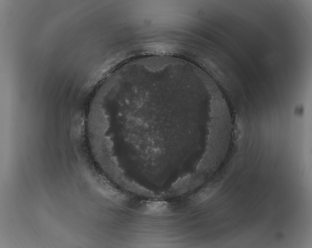 X0000111830355200907301325