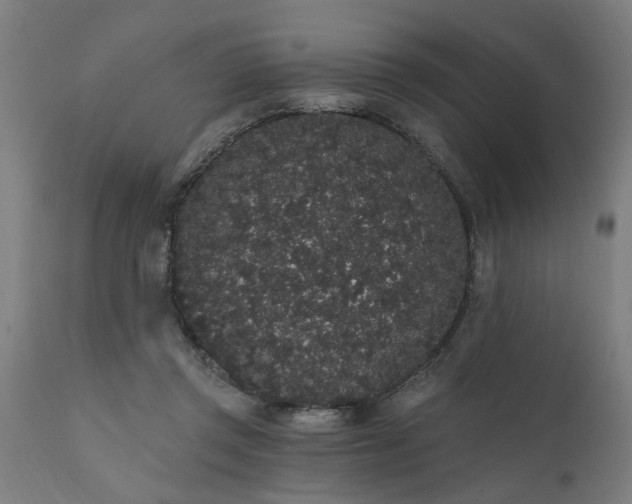 X0000111830357200907301325