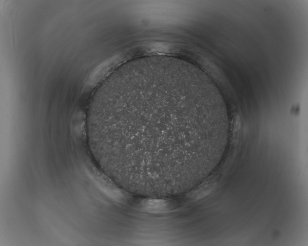 X0000111830361200907301326