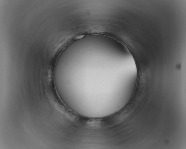 X0000111830362200907301326