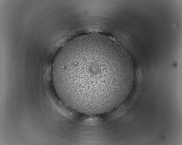 X0000111830364200907301326