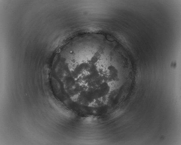 X0000111830366200907301326