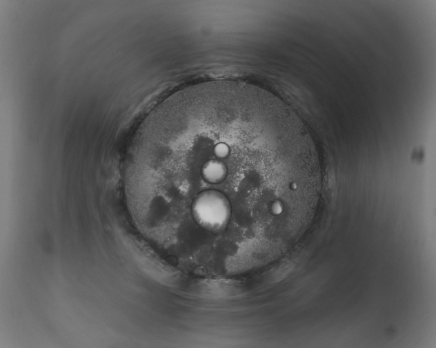 X0000111830367200907301326