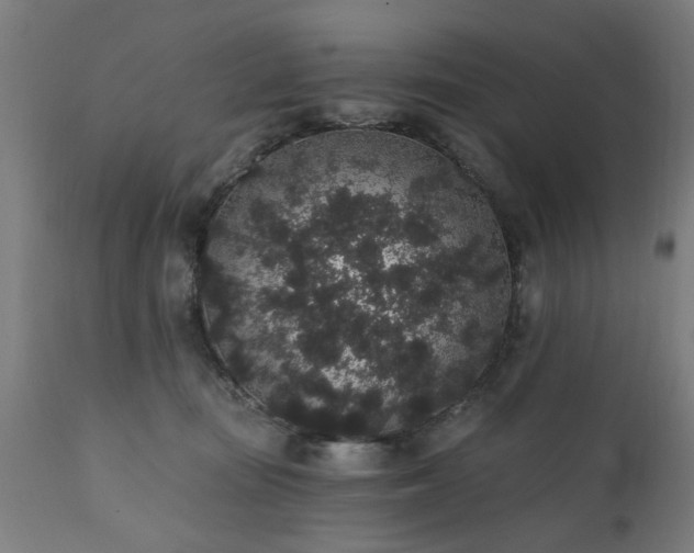 X0000111830371200907301326