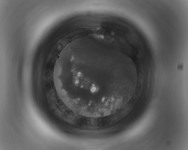 X0000111830383200907301326