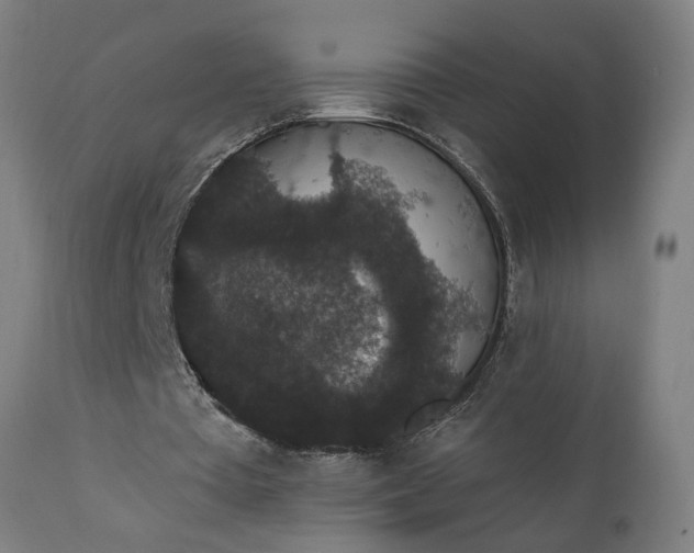 X0000111830385200907301325