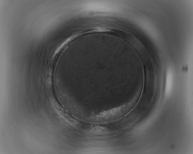 X0000111830387200907301325