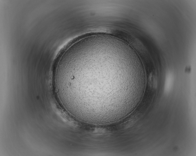 X0000111830388200907301325