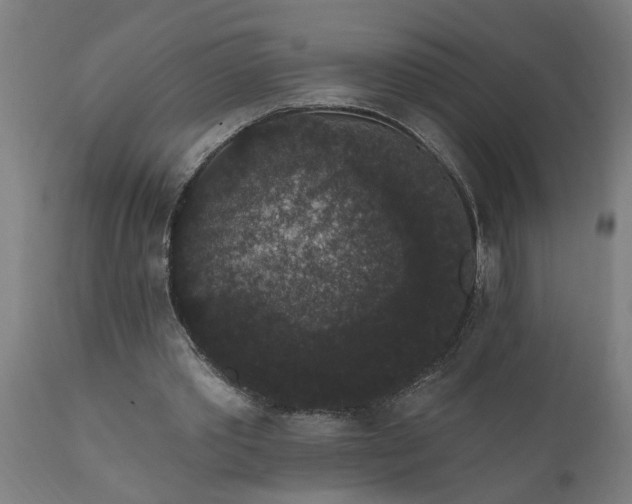 X0000111830389200907301325