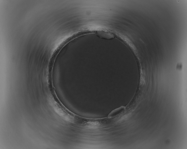 X0000111830391200907301325