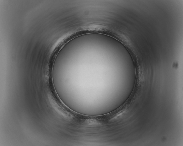 X0000111830392200907301325